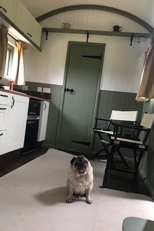 Inside shepherd huts kitchen and dining area, with a pug sat in the middle of the room